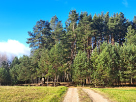 Parduodamas namas Pušyno g., Asmalų k., Utenos r. sav., 83 m² ploto 3 kambariai 32
