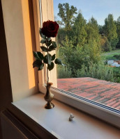 Parduodamas namas Proskynos g., Šakinių k., Klaipėdos r. sav., 160 m² ploto 4 kambariai 5