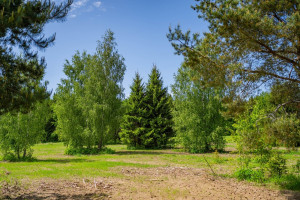 Parduodamas namas Minsko pl., Pavilnys, Vilniaus m., Vilniaus m. sav., 104.5 m2 ploto, 1 aukštai 14
