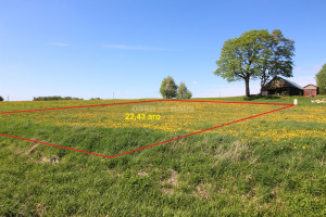 Parduodamas namų valdos paskirties sklypas Šv. Onos g., Vėžaičių mstl., Klaipėdos r. sav., 22.43 a ploto 11