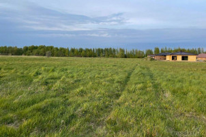 Parduodamas sklypas Svajų g., Norkaičių k., Tauragės r. sav., 9 a ploto 6