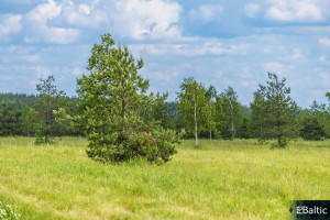 Parduodamas  sklypas Liepynų k., Trakų r. sav., 50.9 a ploto 10