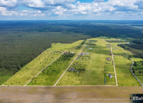 Parduodamas  sklypas Liepynų k., Trakų r. sav., 50 a ploto