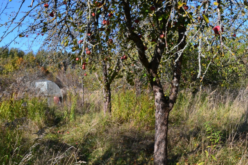 Parduodamas namas Vilties g., Kudirkos Naumiesčio m., Šakių r. sav., 132.85 m2 ploto, 2 aukštai 8