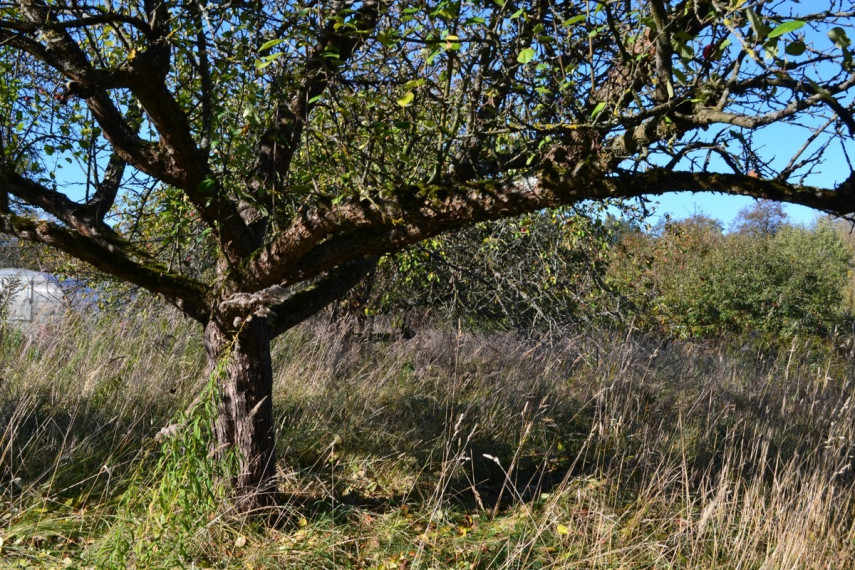 Parduodamas namas Vilties g., Kudirkos Naumiesčio m., Šakių r. sav., 132.85 m2 ploto, 2 aukštai 10