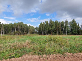 Parduodamas namas Rukelių k., Rokiškio r. sav., 55 m² ploto 3 kambariai 7