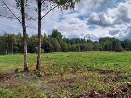 Parduodamas namas Rukelių k., Rokiškio r. sav., 55 m² ploto 3 kambariai 8