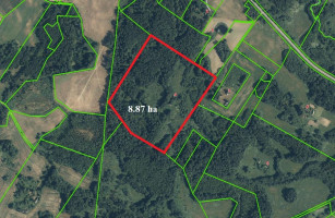 Parduodamas namas Rukelių k., Rokiškio r. sav., 55 m² ploto 3 kambariai 10