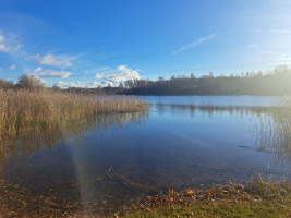 Parduodamas namas Trumbatiškio g., Debeikių mstl., Anykščių r. sav., 67.00 m² ploto 2 kambariai 17