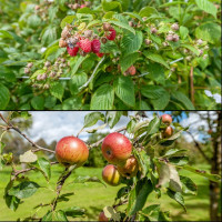 Parduodamas namas Mikalajūnų g., Gelvonų mstl., Širvintų r. sav., 189.59 m2 ploto, 2 aukštai 27