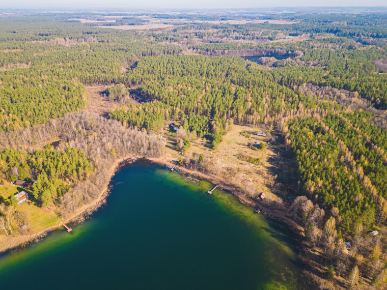 Parduodamas kitos paskirties sklypas Sapiegiškių k., Lazdijų r. sav., 96 a ploto 21