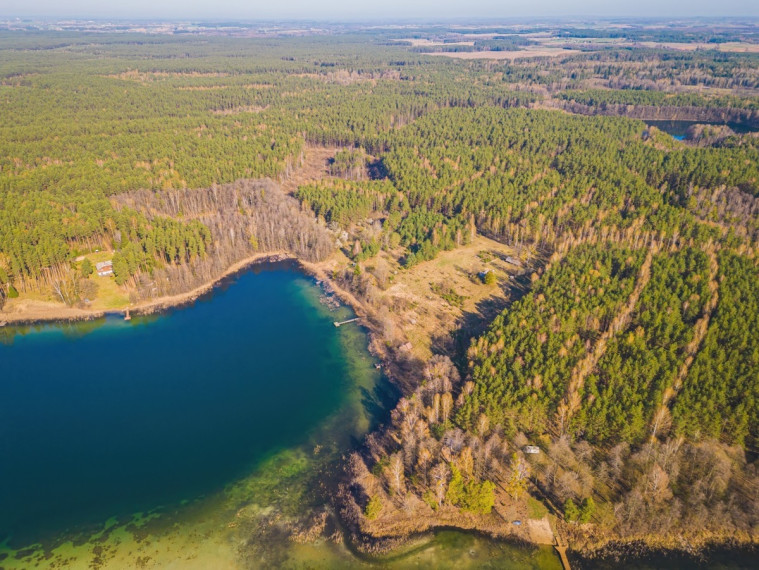 Parduodamas kitos paskirties sklypas Sapiegiškių k., Lazdijų r. sav., 96 a ploto 22