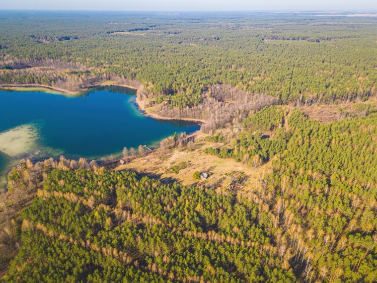 Parduodamas kitos paskirties sklypas Sapiegiškių k., Lazdijų r. sav., 96 a ploto 23