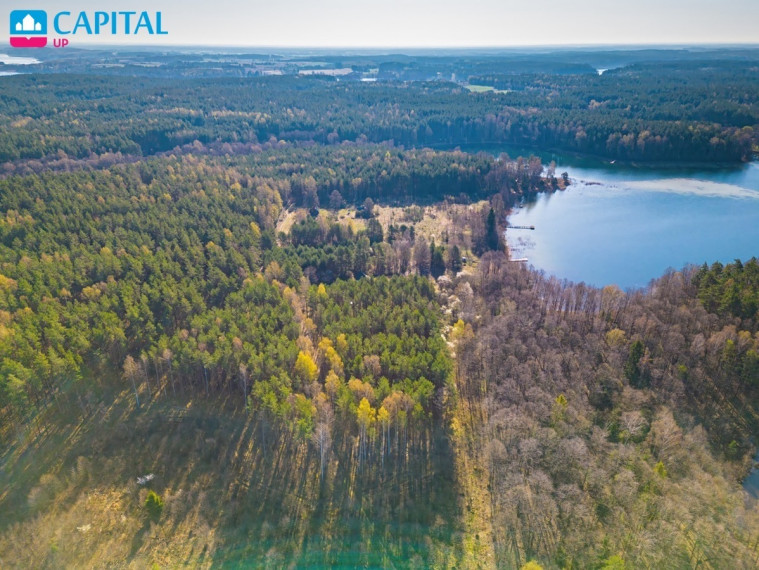 Parduodamas kitos paskirties sklypas Sapiegiškių k., Lazdijų r. sav., 96 a ploto 29