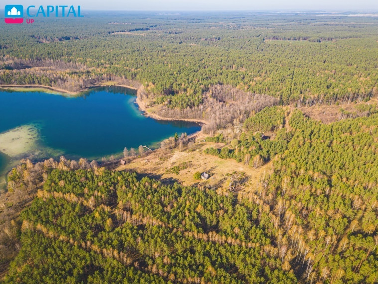 Parduodamas kitos paskirties sklypas Sapiegiškių k., Lazdijų r. sav., 96 a ploto 38