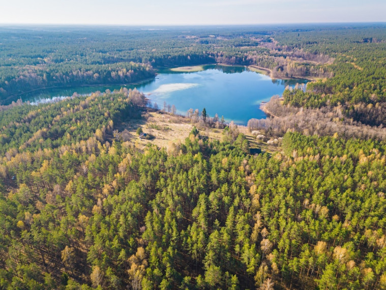 Parduodamas kitos paskirties sklypas Sapiegiškių k., Lazdijų r. sav., 96 a ploto 2