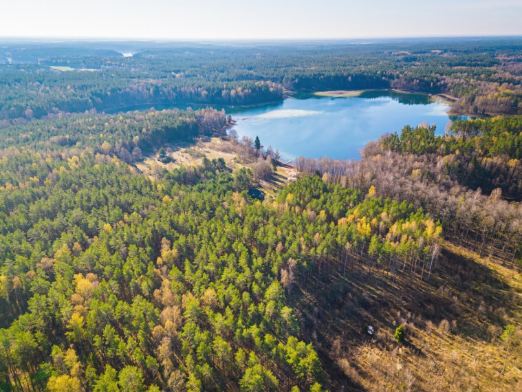 Parduodamas kitos paskirties sklypas Sapiegiškių k., Lazdijų r. sav., 96 a ploto 5