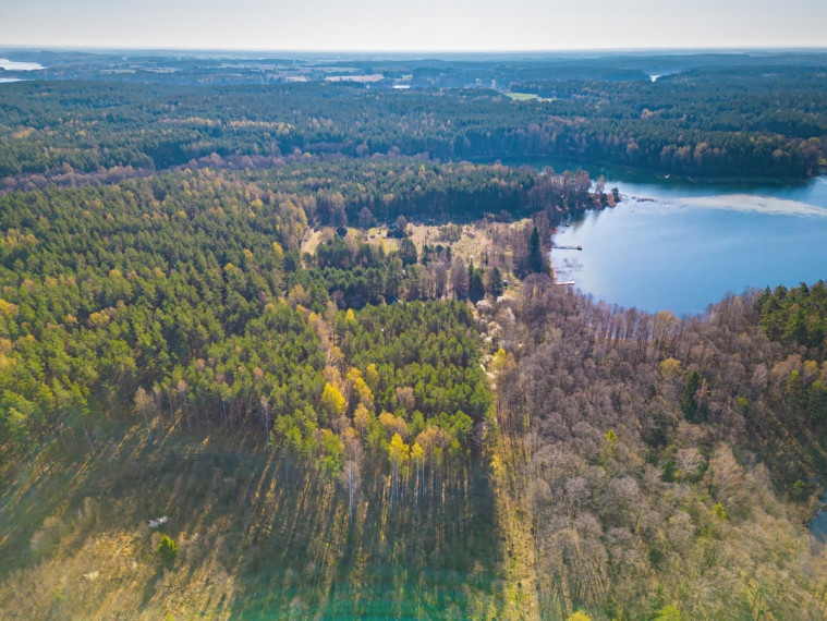 Parduodamas kitos paskirties sklypas Sapiegiškių k., Lazdijų r. sav., 96 a ploto 6