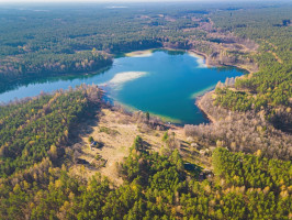 Parduodamas kitos paskirties sklypas Sapiegiškių k., Lazdijų r. sav., 96 a ploto 11