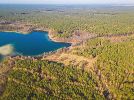Parduodamas kitos paskirties sklypas Sapiegiškių k., Lazdijų r. sav., 96 a ploto 14