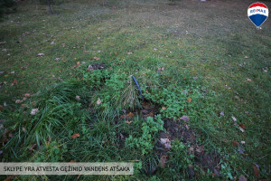 Parduodamas sklypas Vingio g., Bubių k., 25 a ploto 8