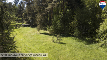 Parduodamas sklypas Vingio g., Bubių k., 25 a ploto 4