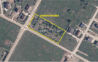 Parduodamas namų valdos paskirties sklypas Stonės g., Mazūriškių k., Klaipėdos r. sav., 60 a ploto 1
