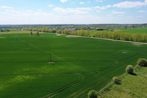 Parduodamas  sklypas Kampiškių g., Kampiškių k., Kauno r. sav., 1466 a ploto 31