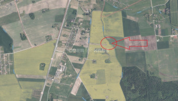 Parduodamas žemės ūkio paskirties sklypas Pažagienių k., Panevėžio r. sav., 90 a ploto 1