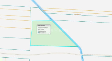 Parduodamas žemės ūkio paskirties sklypas Pažagienių k., Panevėžio r. sav., 90 a ploto 2