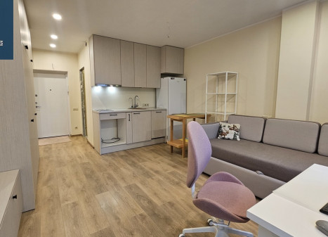 Parduodamas butas Eišiškių pl., Burbiškės, Vilniaus m., Vilniaus m. sav., 24.8 m2 ploto, 1 kambariai
