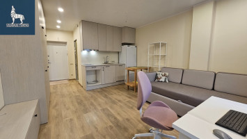 Parduodamas butas Eišiškių pl., Burbiškės, Vilniaus m., Vilniaus m. sav., 24.8 m2 ploto, 1 kambariai 1
