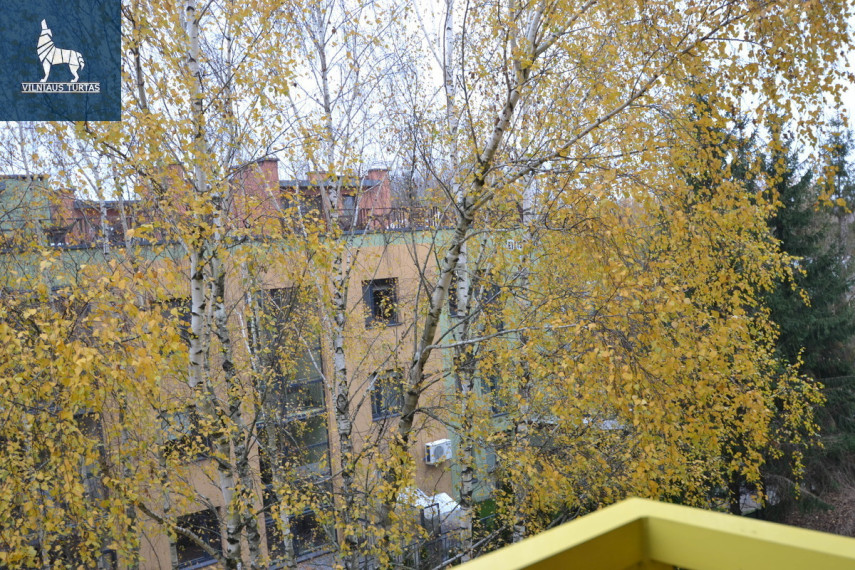 Parduodamas butas Eišiškių pl., Burbiškės, Vilniaus m., Vilniaus m. sav., 24.8 m2 ploto, 1 kambariai 4