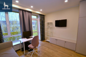 Parduodamas butas Eišiškių pl., Burbiškės, Vilniaus m., Vilniaus m. sav., 24.8 m2 ploto, 1 kambariai 8