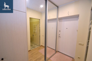 Parduodamas butas Eišiškių pl., Burbiškės, Vilniaus m., Vilniaus m. sav., 24.8 m2 ploto, 1 kambariai 14
