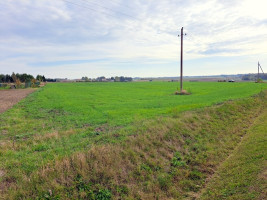 Parduodamas kitos paskirties sklypas Marijampolės sav., Netičkampio k., Šlaito g., 87.24 a ploto 4