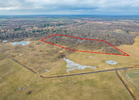 Parduodamas  sklypas Sodų g., Paberžės k., Vilniaus r. sav., 380 a ploto