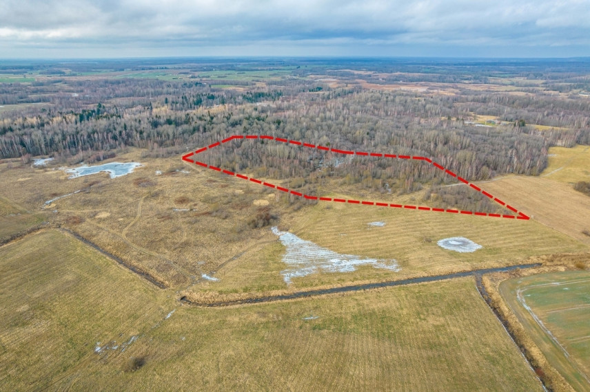 Parduodamas sklypas Sodų g., Paberžės k., Vilniaus r. sav., 380 a ploto 1
