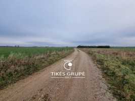 Parduodamas  sklypas Lelių k., Klaipėdos r. sav., 1348 a ploto 1
