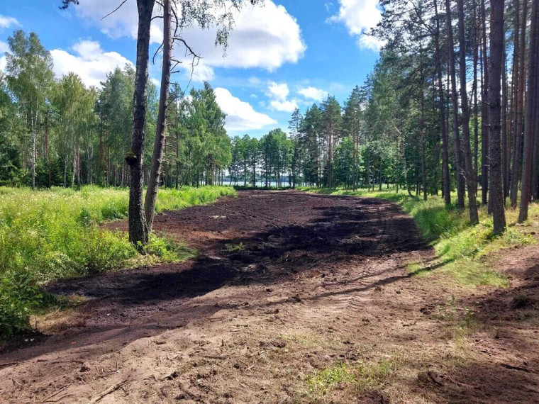 SODYBA ANT LUODŽIO EŽERO KRANTO SU ATRAKCIONAIS MEDŽIUOSE (dar nepastatyta) 5
