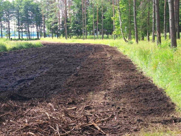 SODYBA ANT LUODŽIO EŽERO KRANTO SU ATRAKCIONAIS MEDŽIUOSE (dar nepastatyta) 19