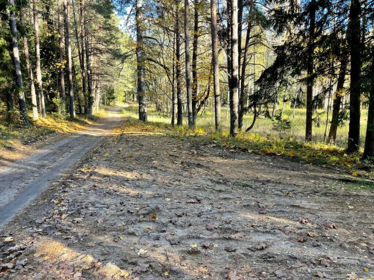 SODYBA ANT LUODŽIO EŽERO KRANTO SU ATRAKCIONAIS MEDŽIUOSE (dar nepastatyta). 20