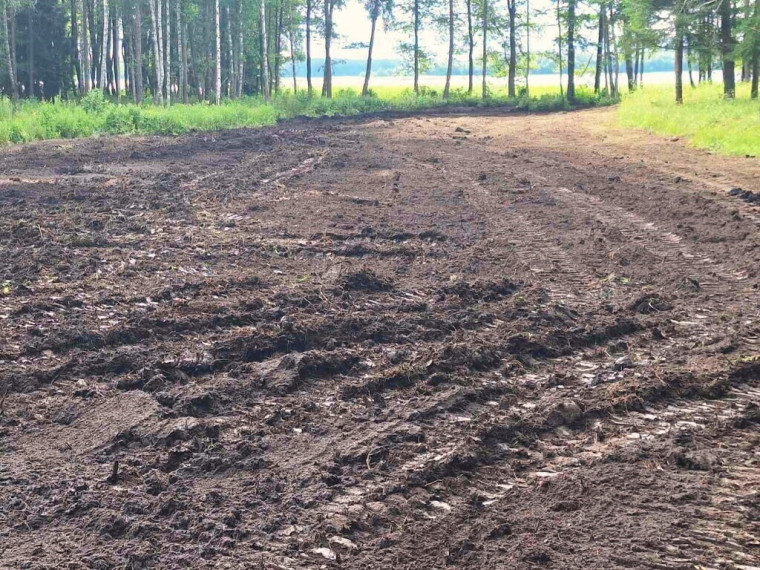 SODYBA ANT LUODŽIO EŽERO KRANTO SU ATRAKCIONAIS MEDŽIUOSE (dar nepastatyta). 17