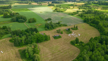 Parduodamas namas Kupiškio m., Kupiškio r. sav., 115.75 m2 ploto, 1 aukštai 16