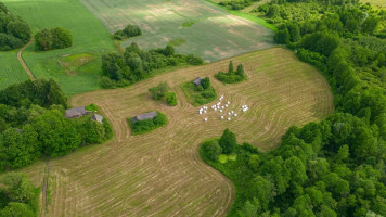 Parduodamas namas Kupiškio m., Kupiškio r. sav., 115.75 m2 ploto, 1 aukštai 17