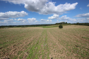 Parduodamas sklypas Varpėnų g., Marviliaus k., Jonavos r. sav., 52.3 a ploto 2