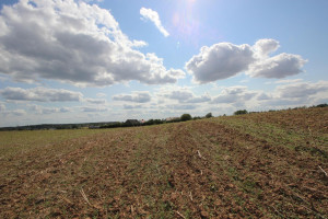 Parduodamas sklypas Varpėnų g., Marviliaus k., Jonavos r. sav., 52.3 a ploto 3