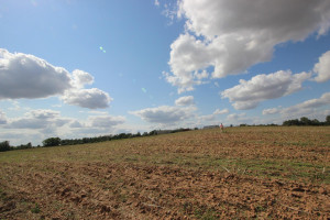 Parduodamas sklypas Varpėnų g., Marviliaus k., Jonavos r. sav., 52.3 a ploto 4