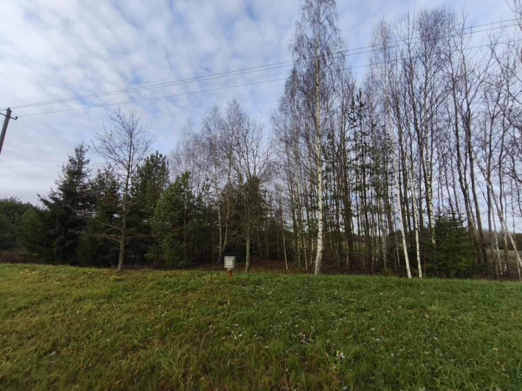 Parduodamas namas Papartynės k., Rokiškio r. sav., 73.00 m² ploto 2 kambariai 6