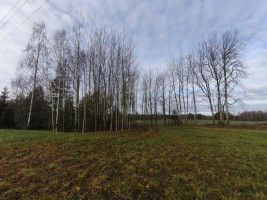 Parduodamas namas Papartynės k., Rokiškio r. sav., 73.00 m² ploto 2 kambariai 8